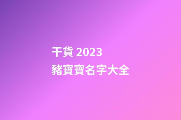 干貨 2023豬寶寶名字大全